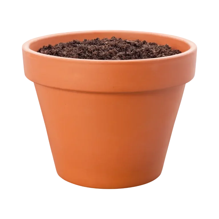 Das Fundament wird hier Bildlich als leerer Blumentopf gesehen